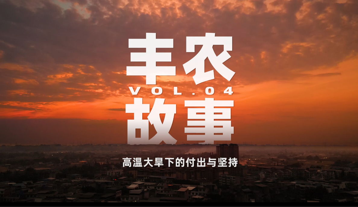 丰农故事VOL.04 高温之下的付出与坚守