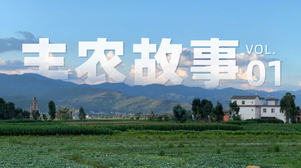 丰农故事VOL.01