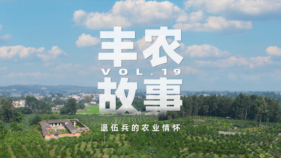 丰农故事VOL.19 退伍兵的农业情怀