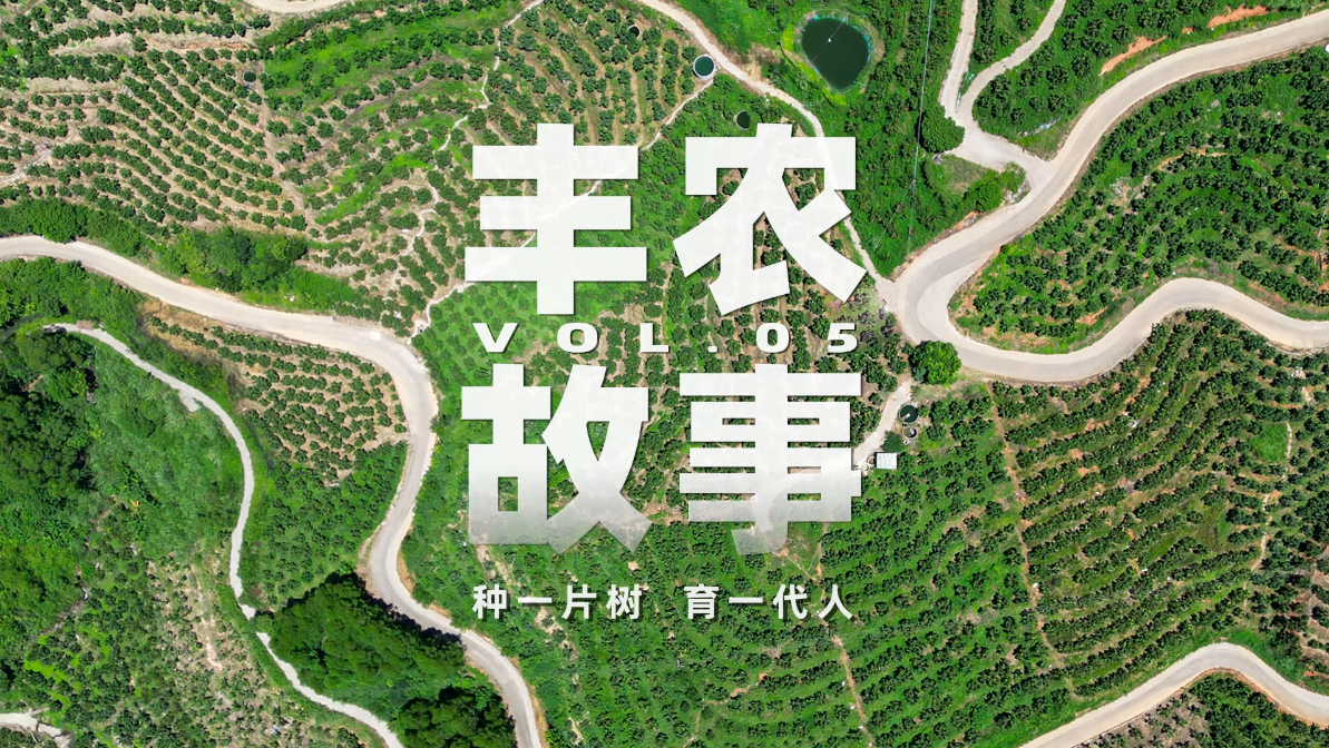 丰农故事VOL.05 种一片树育一代人