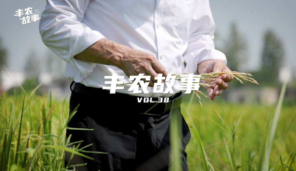 丰农故事VOL.38 六旬农人逐梦沃野 自學(xué)只為(wèi)送出农技大餐