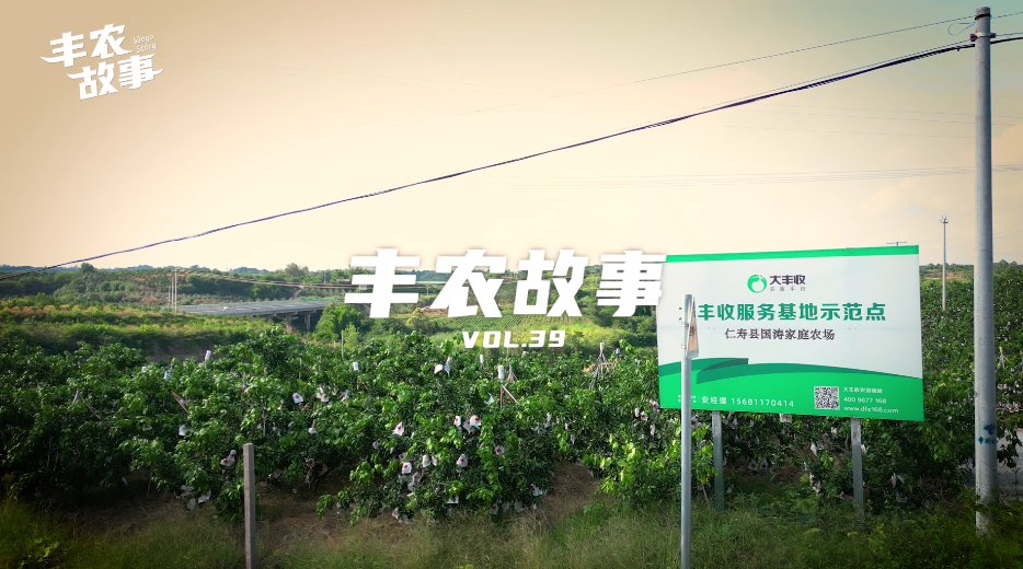 丰农故事VOL.39大托管托出“大丰收” 新(xīn)农人的农服之路