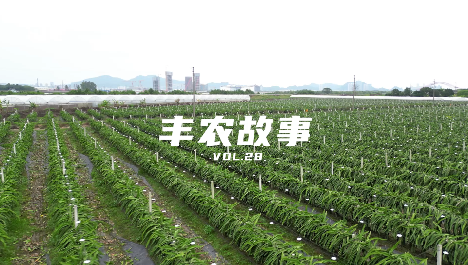 丰农故事VOL.28 心中有(yǒu)热可(kě)填山(shān)海的新(xīn)农人