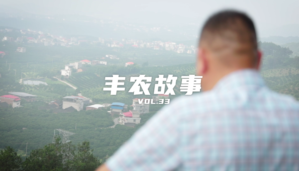 丰农故事VOL.33 返乡创业橙意满满 ，旺了乡村富了乡亲