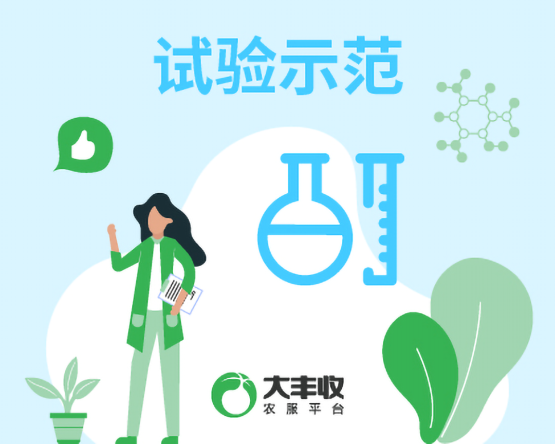 试验示范 | 柑橘红蜘蛛的有(yǒu)效防治方案