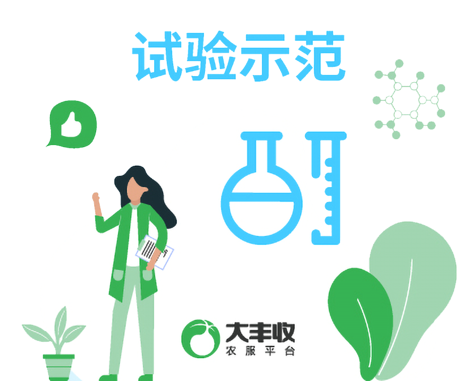 试验示范|施用(yòng)艾乐根对水稻生長(cháng)的影响