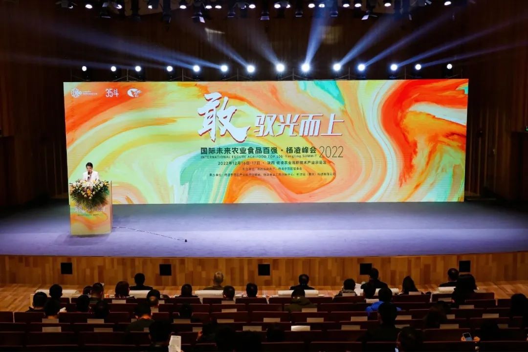 大丰收入选“现代农服TOP20” CEO周单入选了“年度影响力人物(wù)”