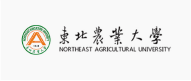 合作夥伴