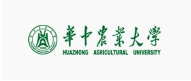 合作夥伴