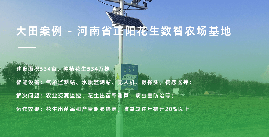 广东-黄金香印葡萄现代农业产业园