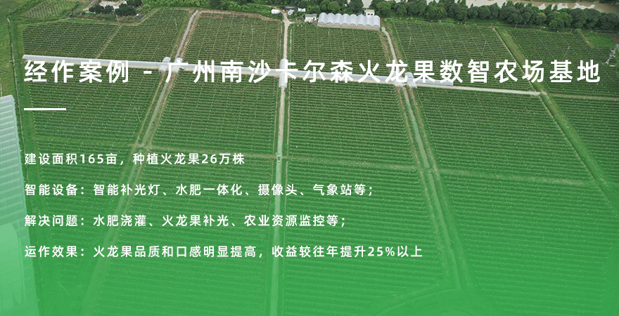 广州-南沙卡尔森火龙果基地