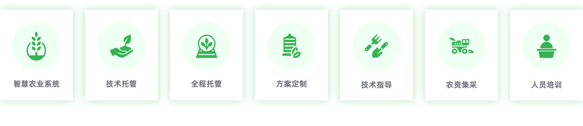 我们的产品和解决方案
