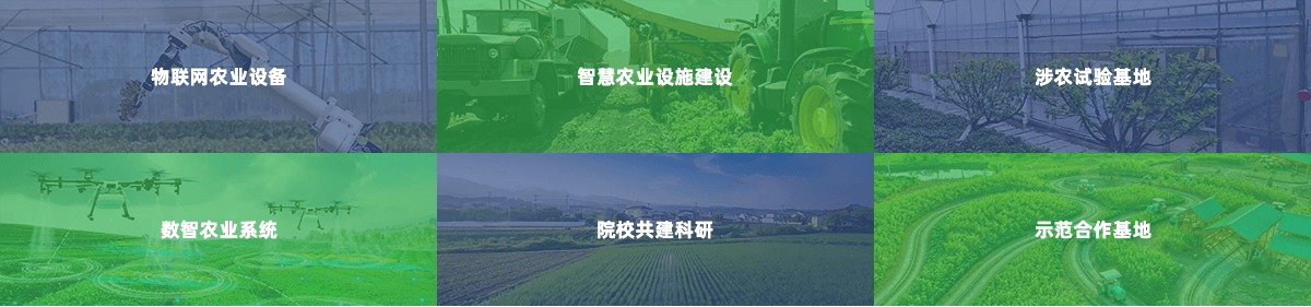 我们的产品和解决方案