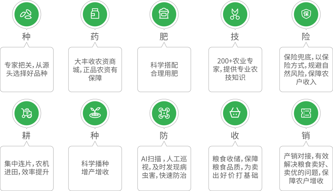 大田全程托管的服務(wù)内容