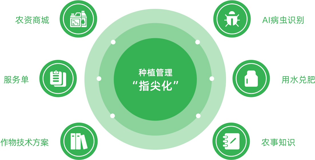 我们的产品和解决方案