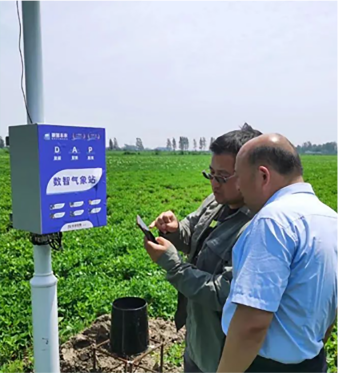 河南·正阳花(huā)生基地