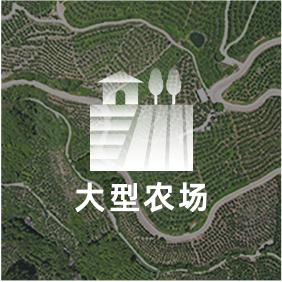 解決方案_大型農場