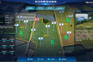 線(xiàn)上線(xiàn)下服務(wù)模式