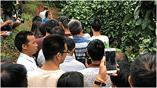 三级涉农培训机制