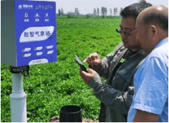 河南省正阳花(huā)生数智农场基地